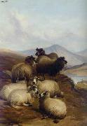 unknow artist Sheep 192 USA oil painting artist